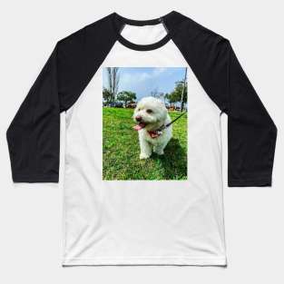 Cute puppy on a walk Baseball T-Shirt